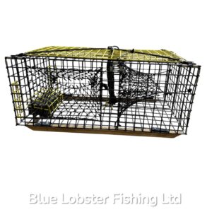 30" Creel, Black with Yellow Contrast